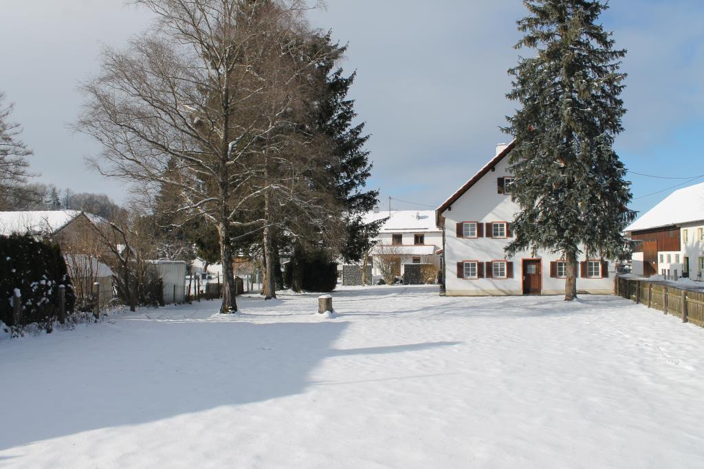 BAUGRUNDSTÜCK MIT ALTBESTAND ISSING