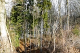 Blick Richtung Lech - LANDWIRTSCHAFTLICHE WIESENFLÄCHE in IDYLLISCHER LAGE nahe LECH! GEMARKUNG MUNDRACHING/GEMEINDE VILGERTSHOFEN