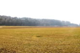 Ansicht 3 - LANDWIRTSCHAFTLICHE WIESENFLÄCHE in IDYLLISCHER LAGE nahe LECH! GEMARKUNG MUNDRACHING/GEMEINDE VILGERTSHOFEN