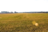 Ansicht 2 - LANDWIRTSCHAFTLICHE WIESENFLÄCHE in IDYLLISCHER LAGE nahe LECH! GEMARKUNG MUNDRACHING/GEMEINDE VILGERTSHOFEN