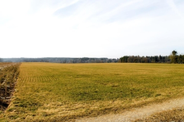 LANDWIRTSCHAFTLICHE WIESENFLÄCHE in IDYLLISCHER LAGE nahe LECH! GEMARKUNG MUNDRACHING/GEMEINDE VILGERTSHOFEN, 86946 Mundraching, Grundstück