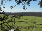 Blick in die Flur - ABSOLUTE 1A-LAGE in KAUFERING! Direkt am ORTSRADND! Baugrundstück für EFH / 2x EFH / DH – TEILUNG möglich!